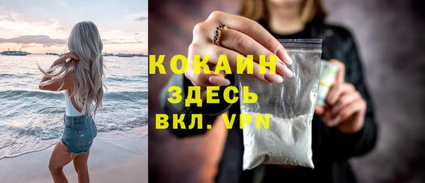 стаф Кулебаки