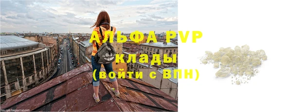 шишки Краснотурьинск