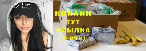 шишки Краснотурьинск