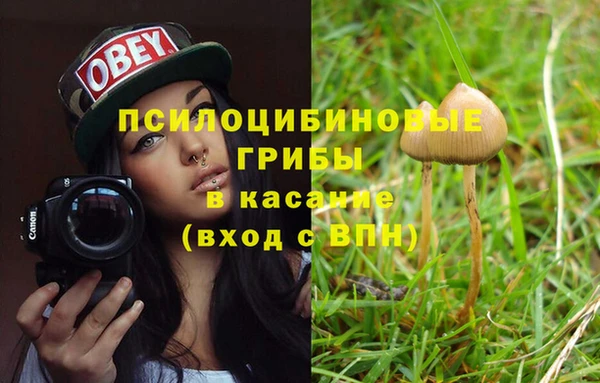 шишки Краснотурьинск