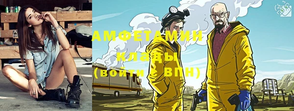 шишки Краснотурьинск
