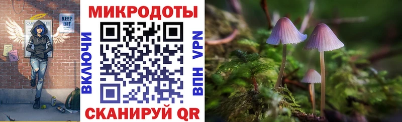 Галлюциногенные грибы Magic Shrooms  Кяхта 